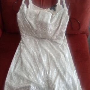 Forever 21 Silver Sparkle Sequin Mini Dress